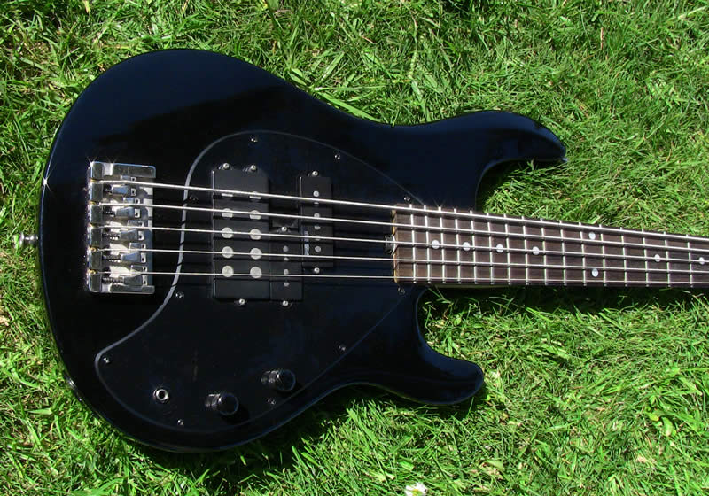 stingray p bass