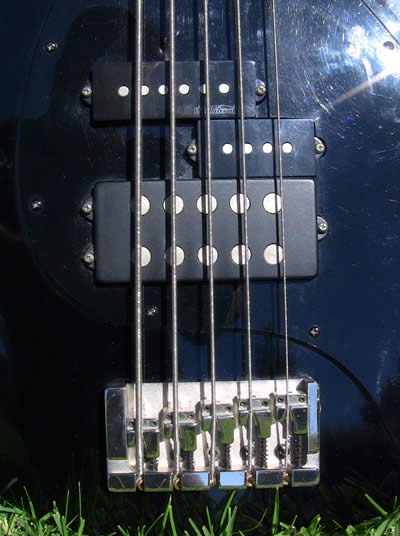 MusicMan and Precision pickups